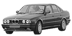 BMW E34 P224C Fault Code